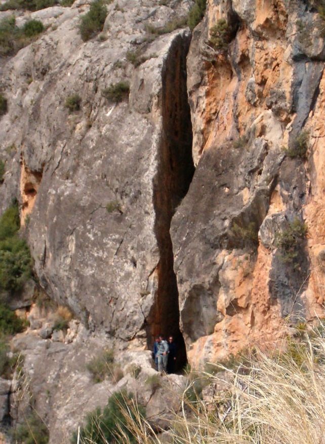 Fuente: samarucs.org