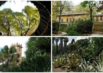¿Sabías que el Jardín Botánico de Valencia es el botánico más antiguo de España por fundación?