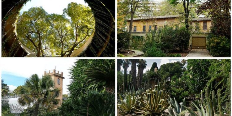 ¿Sabías que el Jardín Botánico de Valencia es el botánico más antiguo de España por fundación?