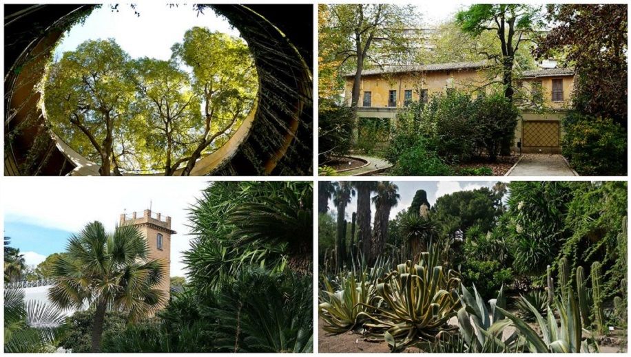 ¿Sabías que el Jardín Botánico de Valencia es el botánico más antiguo de España por fundación?