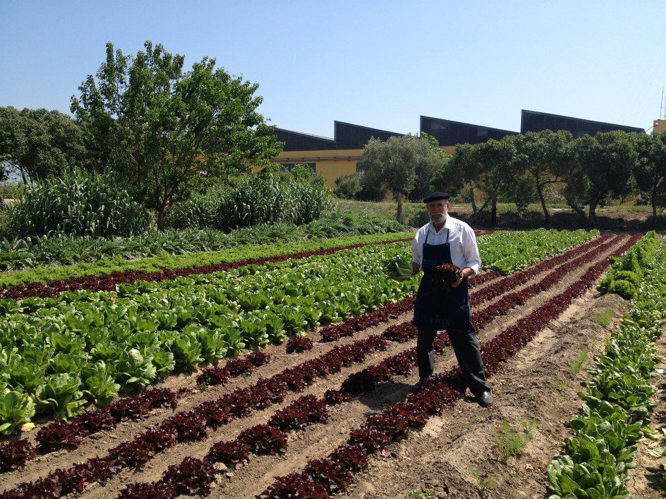 Toni Montoliu en la huerta que tiene justo al lado de la Barraca Toni Montoliu. Foto de Die Genussakademie