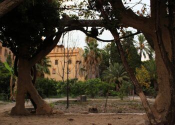 El Jardín de la Dehesa del Castell, un precioso pulmón verde en Burjassot