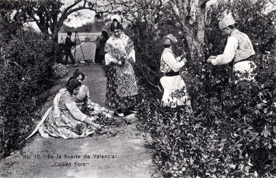 En la huerta valenciana, narración para acercar una realidad alejada del costumbrismo valenciano