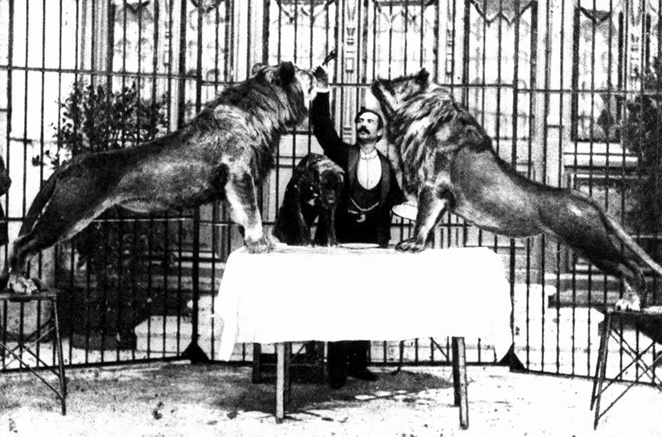 Los leones que causaron el terror por las calles de Valencia en enero de 1900