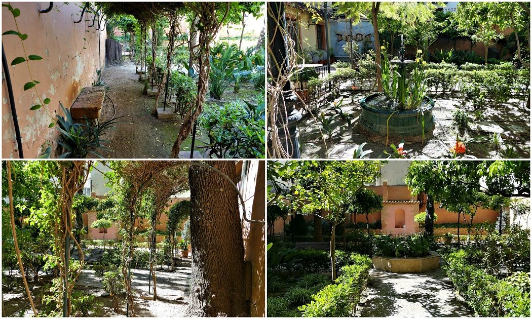 El jardín del Palau de Forcalló, un bello rincón para visitar en la ciudad de Valencia