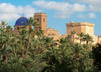 ¿Sabías que el palmeral más grande de Europa se encuentra en la Comunitat Valenciana?