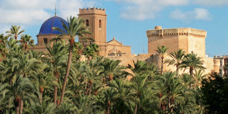 ¿Sabías que el palmeral más grande de Europa se encuentra en la Comunitat Valenciana?