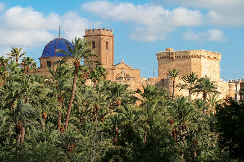 ¿Sabías que el palmeral más grande de Europa se encuentra en la Comunitat Valenciana?