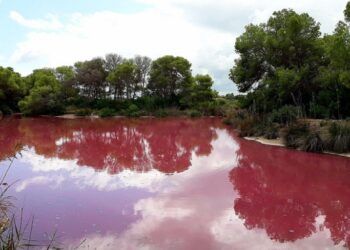 El Raco de l´Olla, el rincón especial de Valencia para conocer el Parque Natural de la Albufera