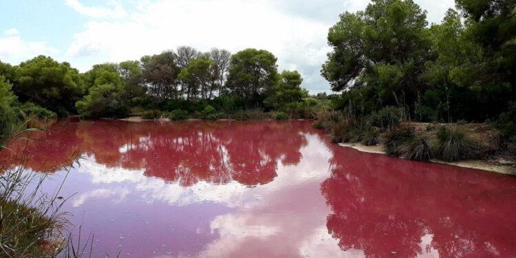 El Raco de l´Olla, el rincón especial de Valencia para conocer el Parque Natural de la Albufera