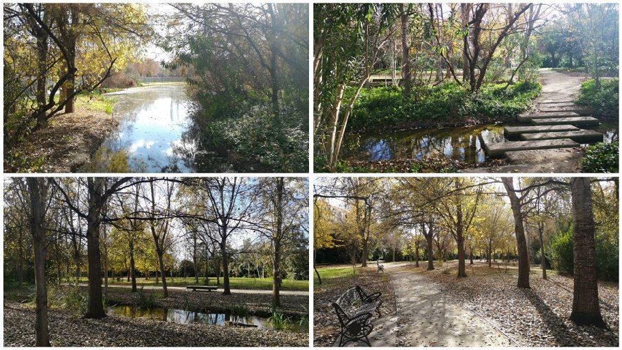 El parque de la Rambleta, un pequeño pulmón verde digno de visita en la ciudad de Valencia