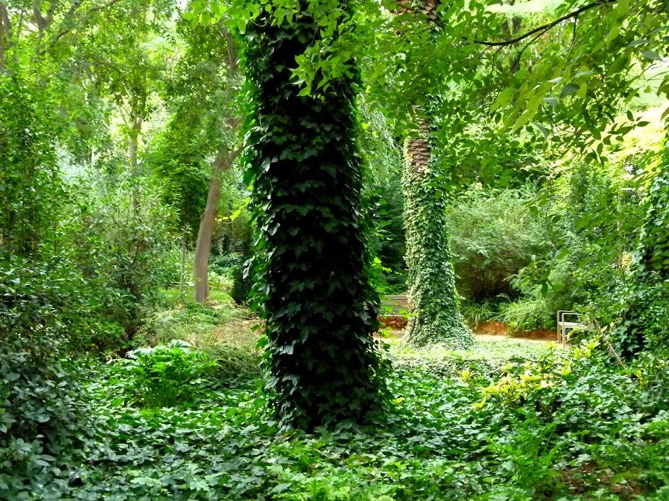 El Huerto de Trénor, un jardín histórico de Torrent cuyo origen se remonta a una antigua ermita