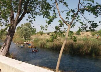 El área recreativa L’Explanada de Riba-roja de Túria: un rincón perfecto del Turia para el baño