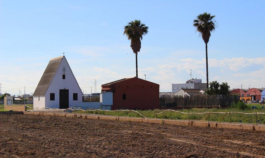 La Huerta de Valencia recibe la certificación de la FAO como Patrimonio Agrícola Mundial