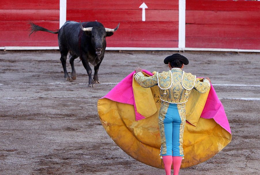 El Ayuntamiento de Valencia prohíbe las corridas de toros