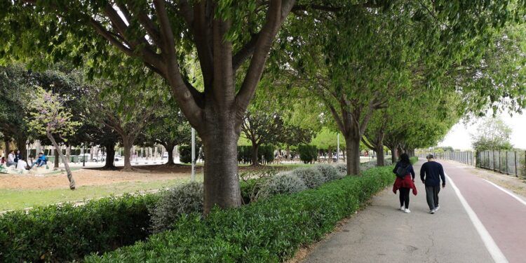 Un paseo por la ruta del colesterol más bonita de L´Horta Sud