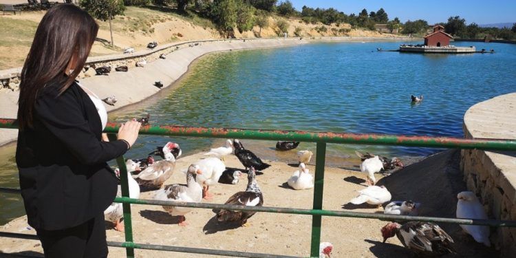 El Planell de Buñol, un bello parque con estanque perfecto para pasear o hacer deporte