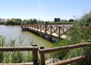El Estany de Nules, un pequeño paraíso para las aves junto al mar