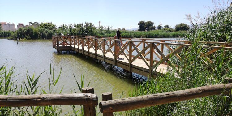 El Estany de Nules, un pequeño paraíso para las aves junto al mar