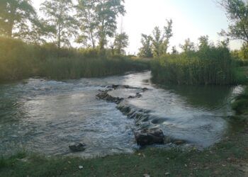 La Fenosa de Benaguasil, un bello paraje que por desgracia está siempre lleno de basura