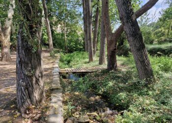 Fuente Los Nogales, la preciosa área recreativa de Benafer