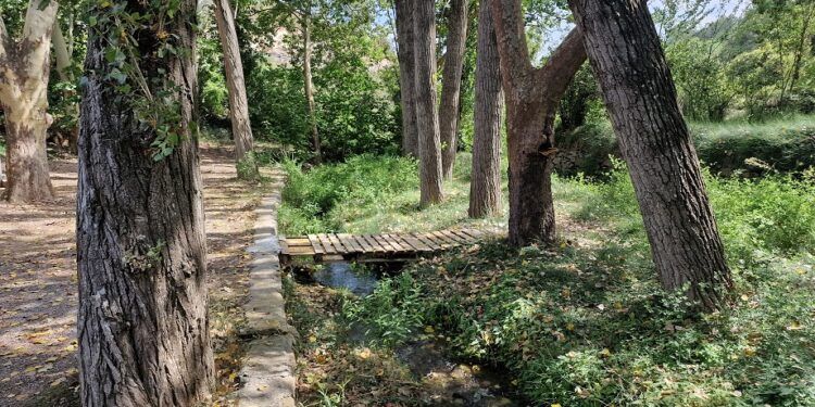 Fuente Los Nogales, la preciosa área recreativa de Benafer