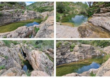 Los Pocicos del Barranco de la Mena, la joya natural de Altura