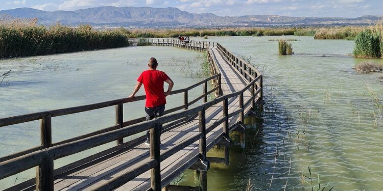 El Parque Natural El Hondo, un precioso paseo sobre pasarelas de madera