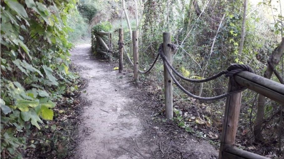 La senda del botánico Manuel Calduch, un bello paseo botánico a orillas del río Mijares