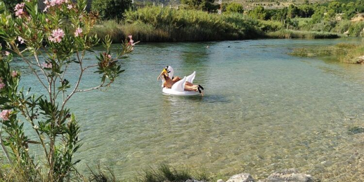 El descenso del río Júcar en Sumacàrcer, una arriesgada ruta para hacer en flotador