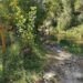 La Senda del Río de Teresa, un bello recorrido para hacer en familia