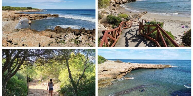 Un sendero lleno de calas, la ruta roja del Parc Natural de la Serra d’Irta