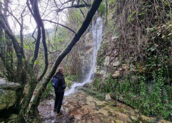 La Ruta de la Font de Lloret, un recorrido que lleva a un precioso hábitat digno de visita