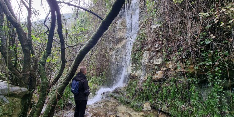 La Ruta de la Font de Lloret, un recorrido que lleva a un precioso hábitat digno de visita