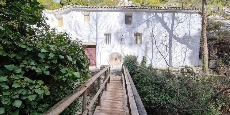 La Ruta del Barranc dels Molins de Ibi, un precioso recorrido dentro de un paraje natural