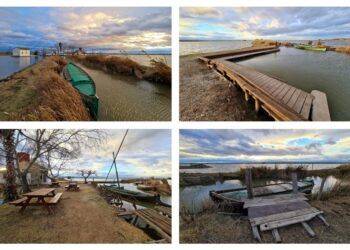 El Portet de Sollana, un pequeño rincón con encanto en el Parque Natural de la Albufera