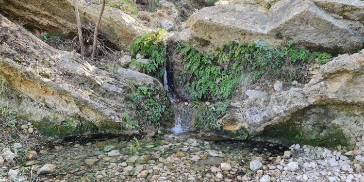 La Font de Ferri