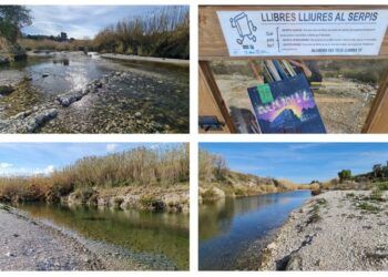 La playa de Potries, una pequeña «calita de interior» en la provincia de Valencia