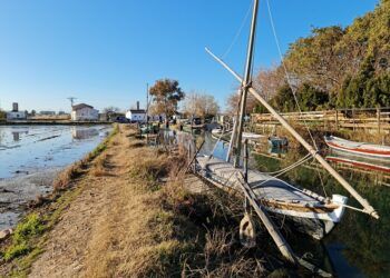 El Puerto de Silla, un precioso rincón de la Albufera de Valencia para desconectar