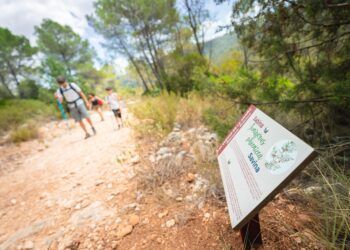La Canal de Navarrés, un paraíso con itinerarios señalizados para el cicloturismo