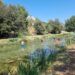 El Paraje Natural del Riu Nou de L´Alcúdia de Crespins, una bella zona de baño en La Costera