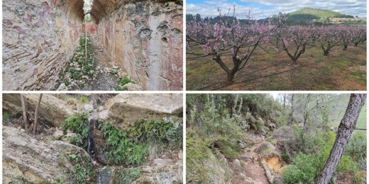 El sendero SL-CV 43 de Aielo de Rugat, una ruta llena de vegetación
