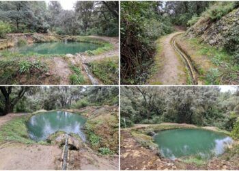 La Bassa del Canyaret o del Paradís, una joya natural escondida en Bocairent