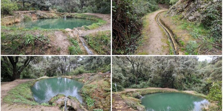 La Bassa del Canyaret o del Paradís, una joya natural escondida en Bocairent