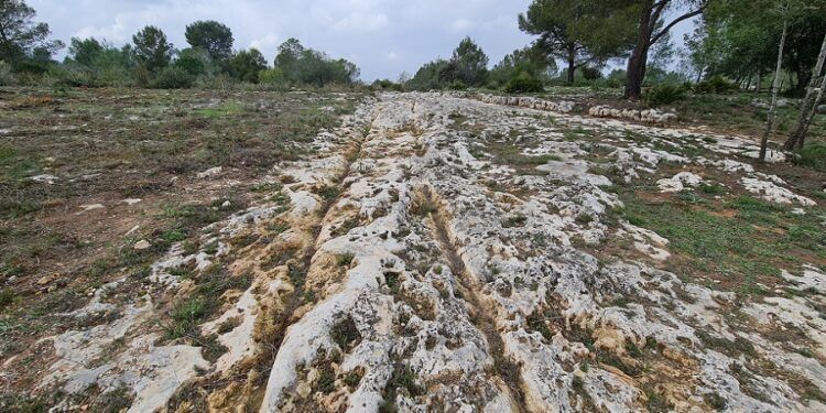 Las Carriladas Ibero-Romanas de L’Énova, una joya patrimonial junto a una carretera