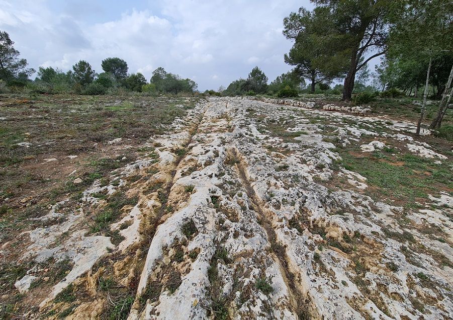 Las Carriladas Ibero-Romanas de L’Énova, una joya patrimonial junto a una carretera