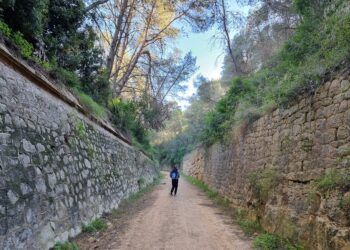 Un paseo por la vía de l’Antic Trenet desde la Barraca d’Aigües Vives hasta el Pas del Portitxol