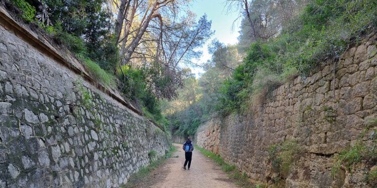 Un paseo por la vía de l’Antic Trenet desde la Barraca d’Aigües Vives hasta el Pas del Portitxol