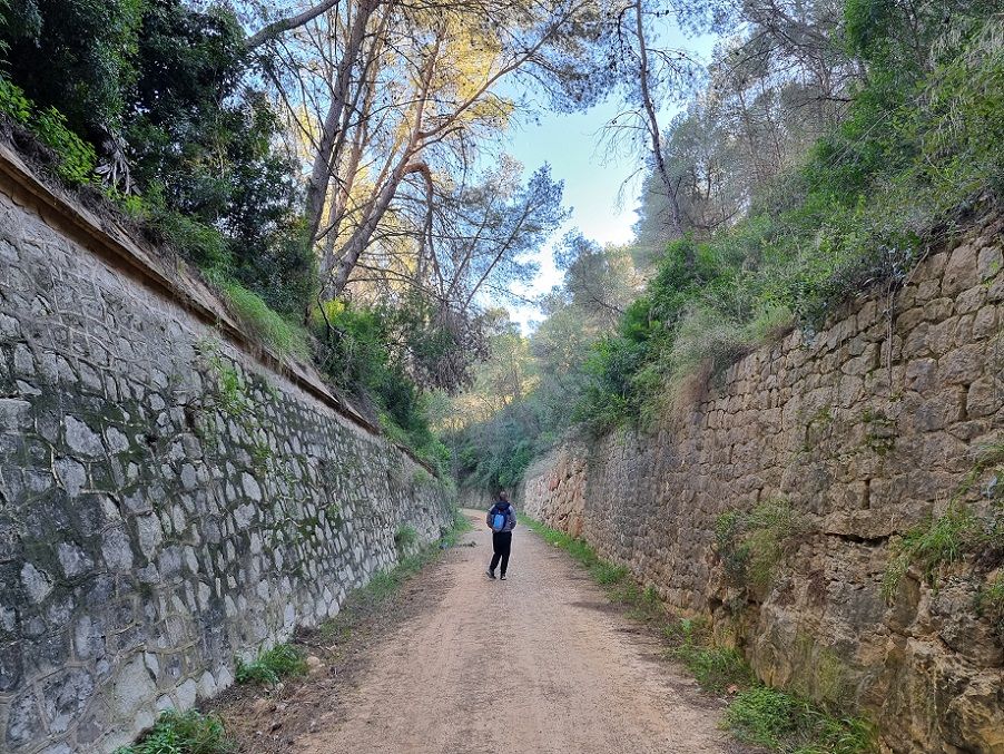 Un paseo por la vía de l’Antic Trenet desde la Barraca d’Aigües Vives hasta el Pas del Portitxol