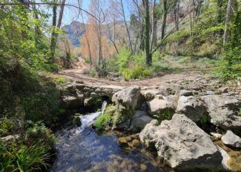 De ruta por el Barranc dels Tarongers, la Senda del Cinquantenari y la Senda dels Enginyers